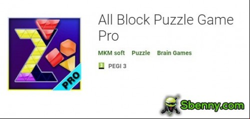 All Block Puzzle Game Pro APK
