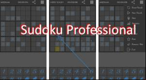 Sudoku Professional APK