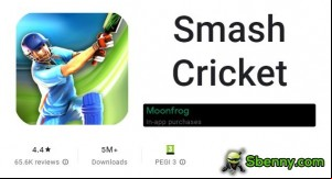 Smash Cricket MOD APK