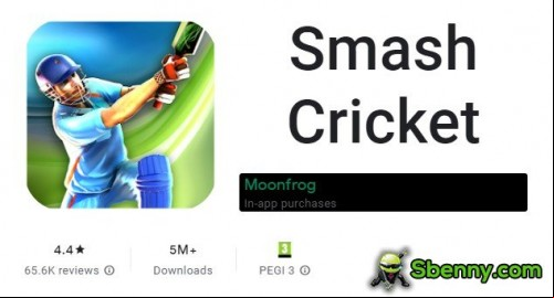 Smash Cricket MOD APK