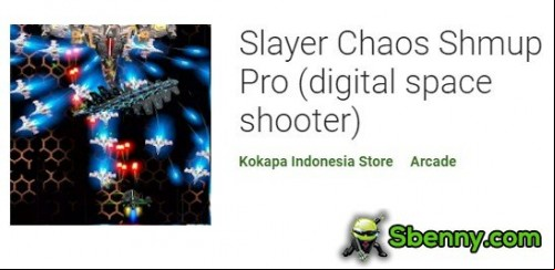 Slayer Chaos Shmup Pro (digital space shooter)