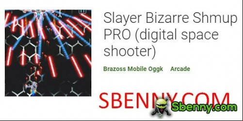 Slayer Bizarre Shmup PRO (digital space shooter)