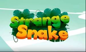 Snake Game - Puzzle Solving MOD APK