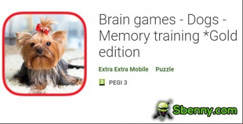 Brain games - Dogs - Memory training *Gold edition APK
