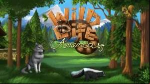 WildLife - America  MOD APK