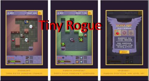 Tiny Rogue MOD APK