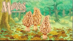 Morels MOD APK