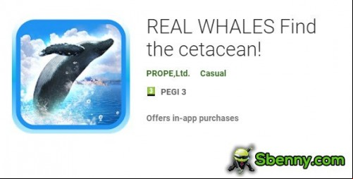 REAL WHALES Find the cetacean!