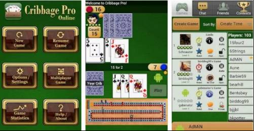 Cribbage Pro Online!