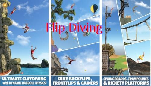 Flip Diving MOD APK