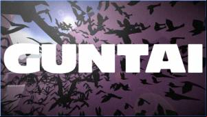 GUNTAI APK