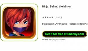 Ninja: Behind the Mirror MOD APK