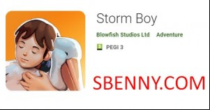 Storm Boy MOD APK