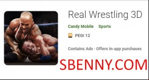 Real Wrestling 3D MOD APK