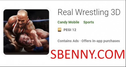 Real Wrestling 3D MOD APK