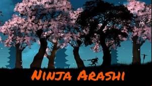 Ninja Arashi MOD APK