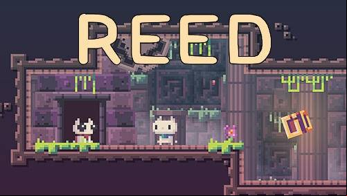 Reed APK