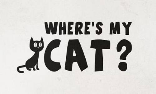 Where is cat?