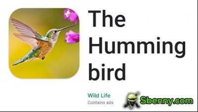 The Hummingbird MOD APK