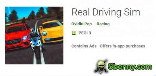 Real Driving Sim MOD APK