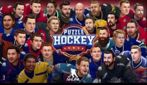 Puzzle Hockey MOD APK