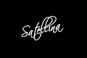 Satellina APK