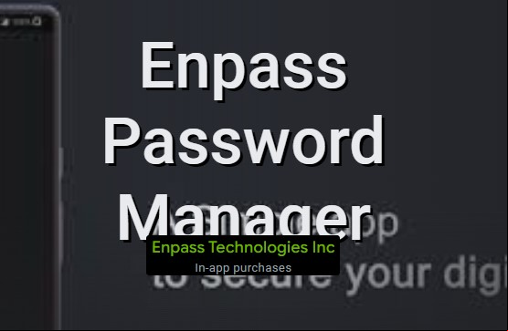 En  Manager MOD APK