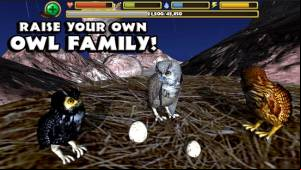 Owl Simulator APK