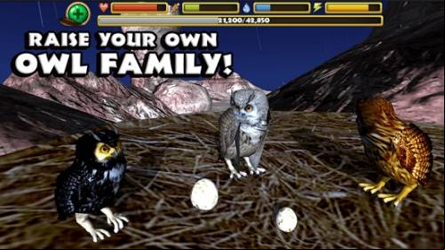 Owl Simulator APK